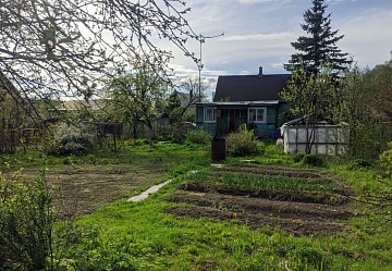 �������� ���� �� ������� 7 ����� � ��� �������� 