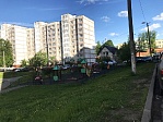 p , ,  1- p. 