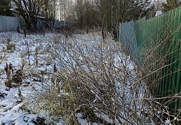 �������� ������� 12 �����, ���������� �������, ��������� �����,  �. ��������